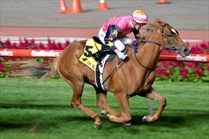 Moor produces gem aboard filly